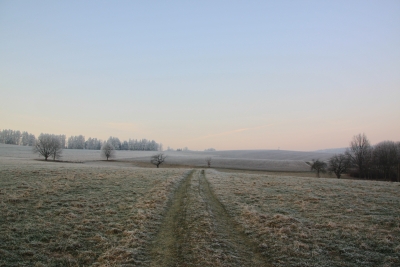 Bild der Umgebung 8