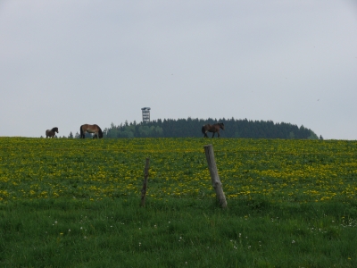 Bild der Umgebung 0